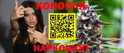 a pvp Апшеронск
