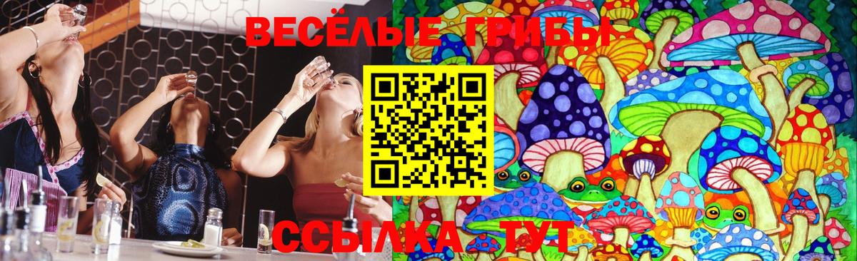 Псилоцибиновые грибы мухоморы Великий Устюг