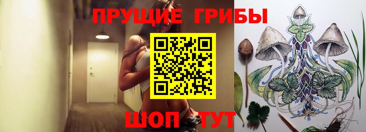 Великий Устюг  Псилоцибиновые грибы Psilocybine cubensis  Вход с VPN 